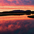 Sunset over Acadia National Park Photograph by Holly Ross Sunset over Acadia National Park Photograph by Holly Ross