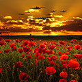 Sunset Poppies The BBMF Digital Art by Airpower Art Sunset Poppies The BBMF Digital Art by Airpower Art