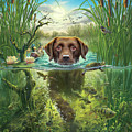 Sunset Swim Digital Art by Mark Fredrickson Sunset Swim Digital Art by Mark Fredrickson