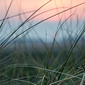 Sunset through the marsh grass Photograph by Spikey Mouse Photography Sunset through the marsh grass Photograph by Spikey Mouse Photography