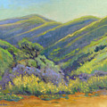 Super Bloom 2 by Konnie Kim