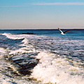 Surf by Steve Karol Surf by Steve Karol