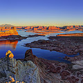 Surreal Alstrom Photograph by Chad Dutson