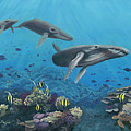 Swans of the Sea Painting by Megan Collins Swans of the Sea Painting by Megan Collins
