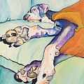 Sweet Sleep by Pat Saunders-White Sweet Sleep by Pat Saunders-White