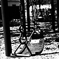 Swing Photograph by Frank J Casella Swing Photograph by Frank J Casella