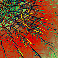 Swirl Barrel Cactus Digital Art by Joe Hoover Swirl Barrel Cactus Digital Art by Joe Hoover