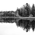 Symmetry Photograph by Holly Ross Symmetry Photograph by Holly Ross
