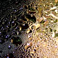 Synthesis by Will Borden Synthesis by Will Borden