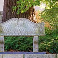 Take a Break by Debbi Granruth Take a Break by Debbi Granruth