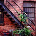 Take The Stairs Photograph by Rodney Lee Williams Take The Stairs Photograph by Rodney Lee Williams