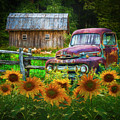 Take us for a Ride in the Sunflower Patch Oil Painting Photograph by Debra and Dave Vanderlaan Take us for a Ride in the Sunflower Patch Oil Painting Photograph by Debra and Dave Vanderlaan