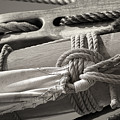 Tall Ship Sail Cloth Sepia by Darius Aniunas