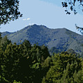 Tamalpais...the Sleeping Princess Photograph by Ben Upham III Tamalpais...the Sleeping Princess Photograph by Ben Upham III