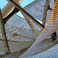 Tangled Webs We Weave Photograph by Kerry Obrist Tangled Webs We Weave Photograph by Kerry Obrist