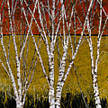 Tante Betulle Painting by Guido Borelli