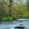 Tarr Steps Clapper Bridge Photograph by Andy Myatt Tarr Steps Clapper Bridge Photograph by Andy Myatt