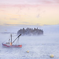 Taste Of Dawn by Evelina Kremsdorf Taste Of Dawn by Evelina Kremsdorf