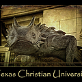 Tcu Frog Poster 2015 by Joan Carroll Tcu Frog Poster 2015 by Joan Carroll