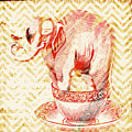 Teacup Elephant by Brandi Fitzgerald Teacup Elephant by Brandi Fitzgerald