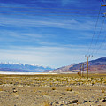 Technology vs. Nature Photograph by Tatiana Travelways Technology vs. Nature Photograph by Tatiana Travelways