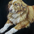 Teddy by Cheryl Pass Teddy by Cheryl Pass
