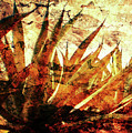T E Q U I L A . F I E L D Digital Art by J U A N - O A X A C A T E Q U I L A . F I E L D Digital Art by J U A N - O A X A C A