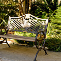 Texas Bench Photograph by Elena Perelman Texas Bench Photograph by Elena Perelman