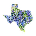 Texas Blue Texas Map on White Painting by Hailey E Herrera Texas Blue Texas Map on White Painting by Hailey E Herrera