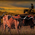 Texas Longhorn Steers and Cowboy at Sunset Photograph by Randall Nyhof Texas Longhorn Steers and Cowboy at Sunset Photograph by Randall Nyhof
