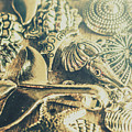 The Aquatic Abstraction by Jorgo Photography - Wall Art Gallery The Aquatic Abstraction by Jorgo Photography - Wall Art Gallery