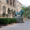 The Art Institute Of Chicago - 3 by Ely Arsha The Art Institute Of Chicago - 3 by Ely Arsha