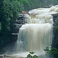The Base of Angel Falls in Canaima National Park Venezuela Photograph by Dave Welling The Base of Angel Falls in Canaima National Park Venezuela Photograph by Dave Welling