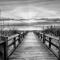The Beach is Calling Black and White Photograph by Debra and Dave Vanderlaan The Beach is Calling Black and White Photograph by Debra and Dave Vanderlaan