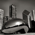 The Bean - 4 by Ely Arsha The Bean - 4 by Ely Arsha