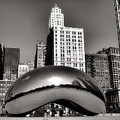 The Bean - 3 by Ely Arsha The Bean - 3 by Ely Arsha