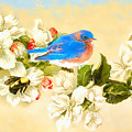 The Beautiful Bluebird Painting by Tina LeCour The Beautiful Bluebird Painting by Tina LeCour