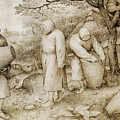 The Beekeepers and the Birdnester Drawing by Pieter Bruegel the Elder The Beekeepers and the Birdnester Drawing by Pieter Bruegel the Elder
