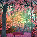 The Bench That Dreams by Tara Turner The Bench That Dreams by Tara Turner