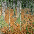 The Birch Wood Painting by Gustav Klimt The Birch Wood Painting by Gustav Klimt