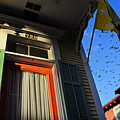 The Birds by Skip Hunt The Birds by Skip Hunt