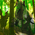 The Birdwoman by Seth Weaver The Birdwoman by Seth Weaver