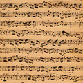 The Brandenburger Concertos Drawing by Johann Sebastian Bach The Brandenburger Concertos Drawing by Johann Sebastian Bach