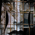 The bride behind the old window Digital Art by Gabi Hampe The bride behind the old window Digital Art by Gabi Hampe