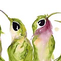The Broad-tails Painting by Dawn Derman