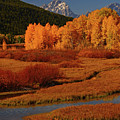 The Cathedral Group from North of Oxbow Bend Photograph by Raymond Salani III The Cathedral Group from North of Oxbow Bend Photograph by Raymond Salani III