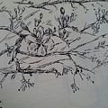 The chinese new year flowers Drawing by Sukalya Chearanantana The chinese new year flowers Drawing by Sukalya Chearanantana