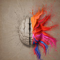 The Creative Brain Digital Art by Johan Swanepoel The Creative Brain Digital Art by Johan Swanepoel