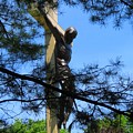 The Cross in the Woods Photograph by Keith Stokes The Cross in the Woods Photograph by Keith Stokes