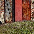 The Door by Alan Skonieczny The Door by Alan Skonieczny